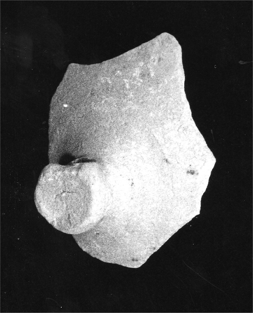 coperchio con presa, frammento - manifattura abruzzese (fine/inizio secc. XVIII/ XIX)