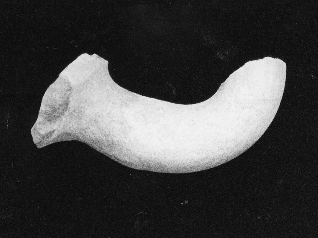 ansa di olla, frammento - manifattura abruzzese (fine/inizio secc. XVII/ XVIII)