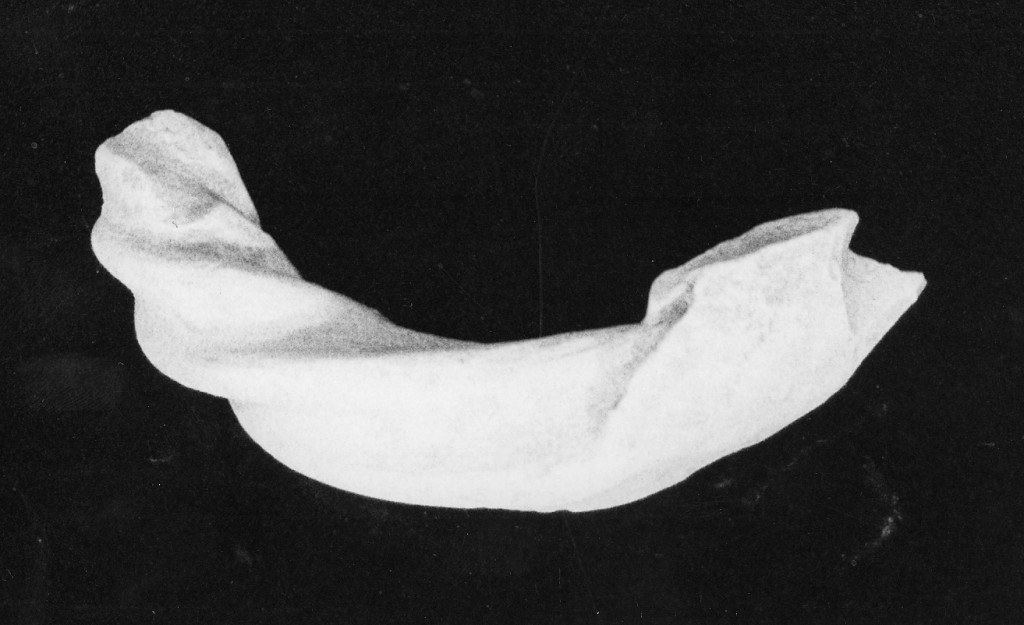 ansa di olla, frammento - manifattura abruzzese (fine/inizio secc. XVII/ XVIII)