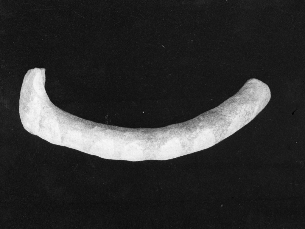 ansa di olla, frammento - manifattura abruzzese (fine/inizio secc. XVII/ XVIII)