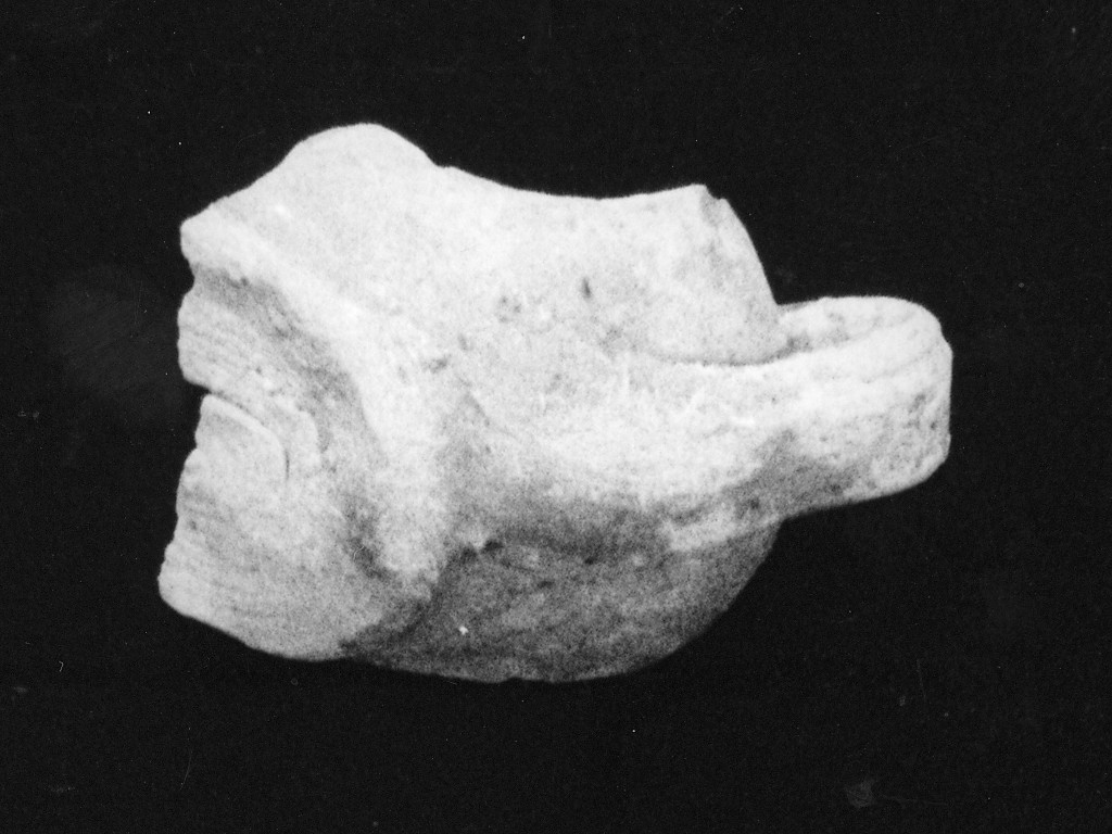 parete con ansa di tazza, frammento - manifattura abruzzese (sec. XVIII)