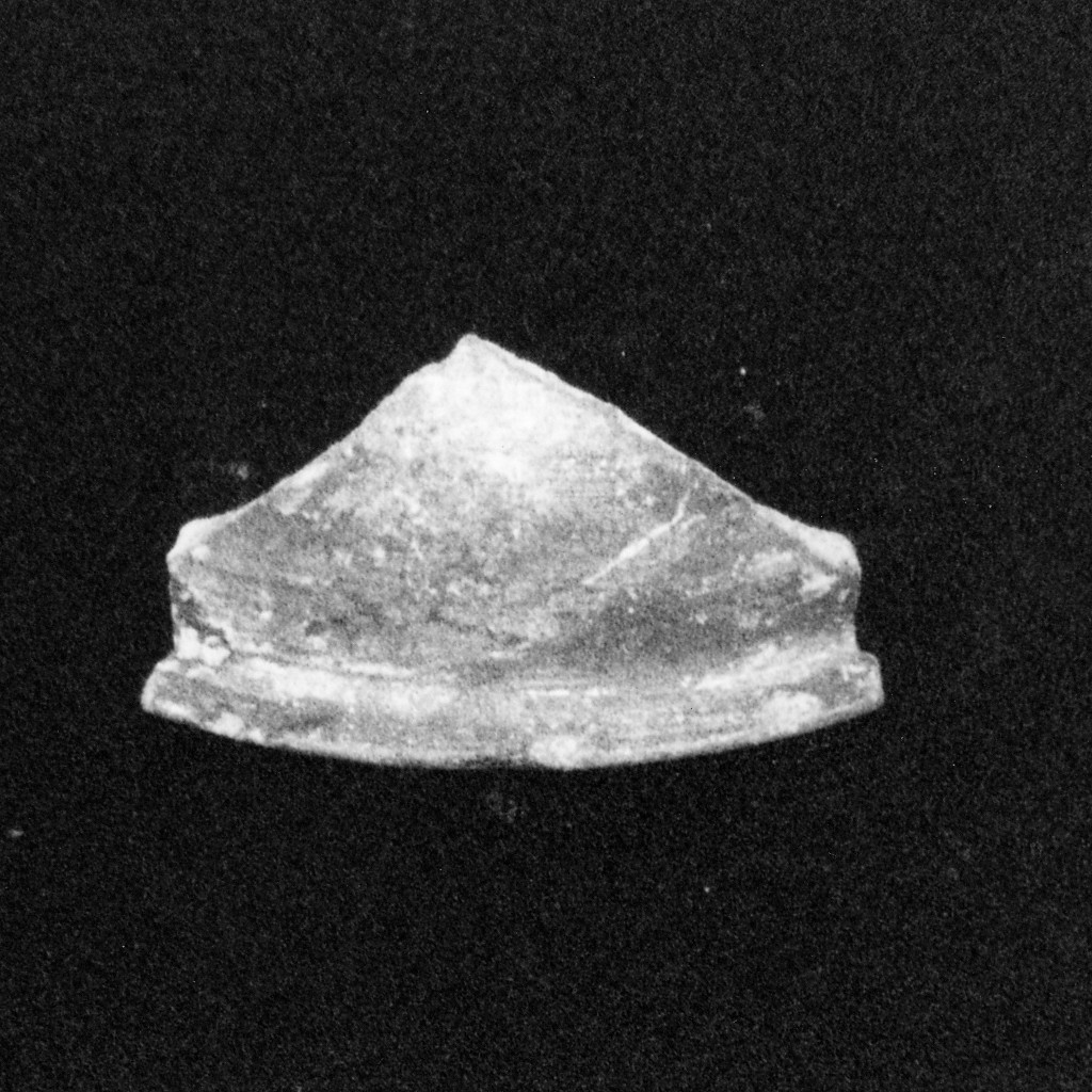 orlo di vasetto, frammento - manifattura abruzzese (fine/inizio secc. XVIII/ XIX)