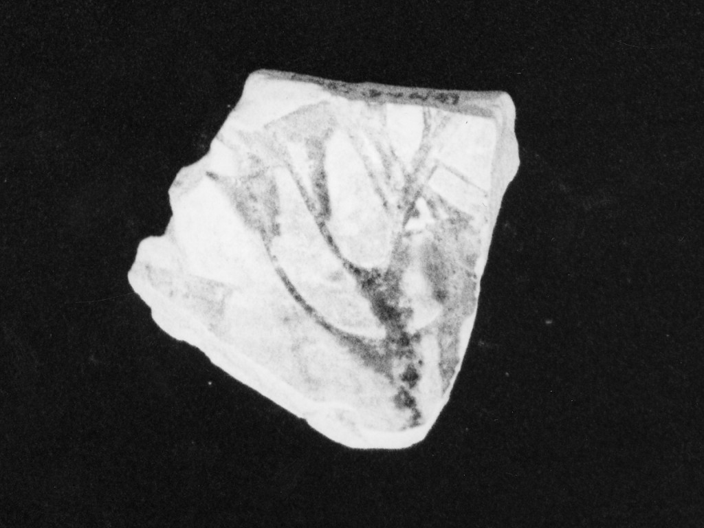 Motivo decorativo floreale graffito (base con parete pertinente a vaso, frammento) - manifattura abruzzese (sec. XVIII)