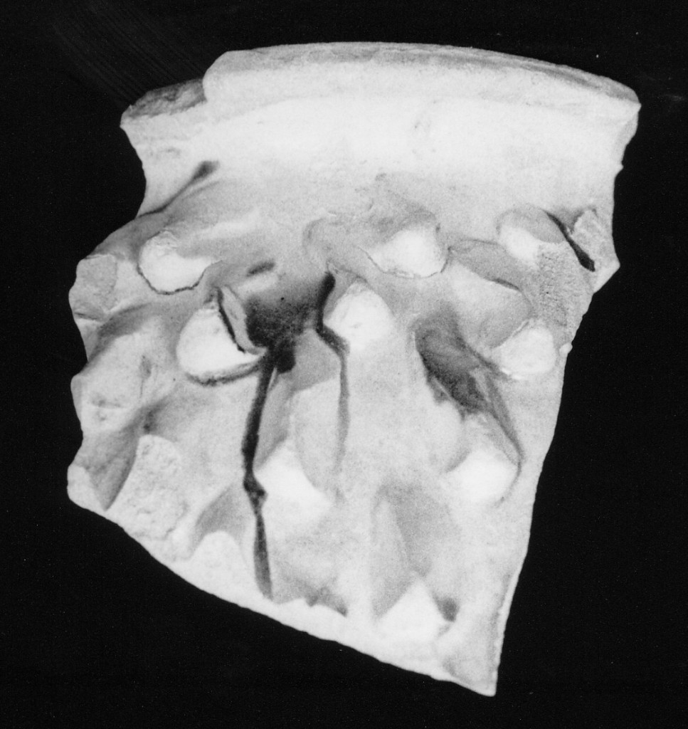 Decorazione a rilievo ( a pinoli) (fondo e parete, frammento) - manifattura umbra (fine/inizio secc. XV/ XVI)