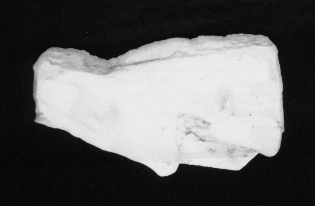 Decorazione a rilievo (a pinoli) (parete, frammento) - manifattura umbra (fine/inizio secc. XV/ XVI)