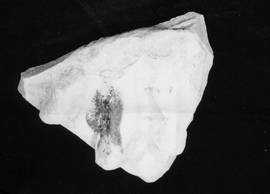 Decorazione a rilievo (a pinoli) (parete, frammento) - manifattura umbra (fine/inizio secc. XV/ XVI)