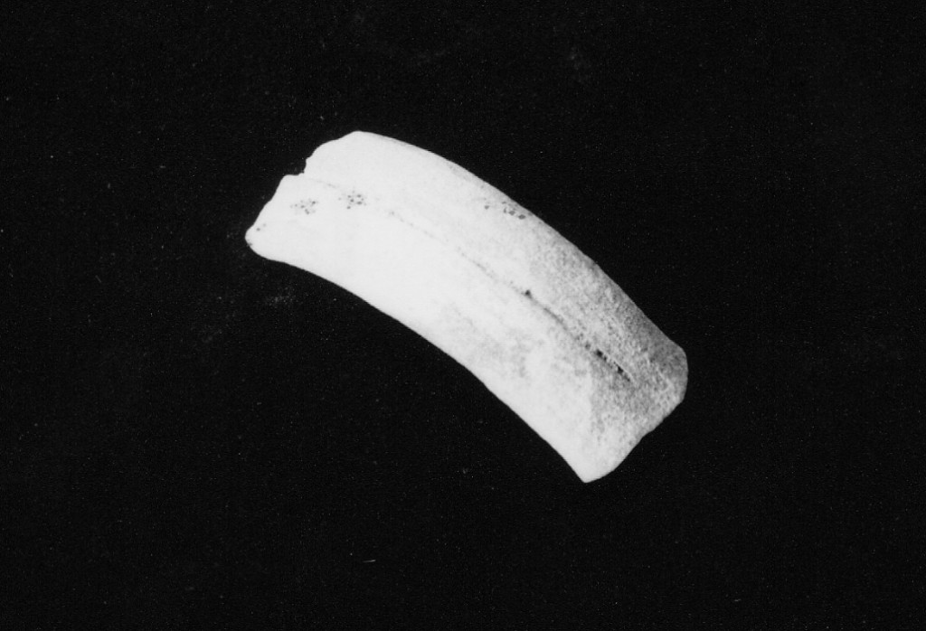 ansa, frammento - manifattura abruzzese (fine/inizio secc. XVII/ XVIII)