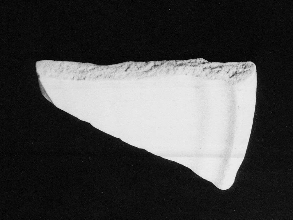 Motivo decorativo (orlo e parete di catino, frammento) - manifattura abruzzese (fine/inizio secc. XV/ XVI)