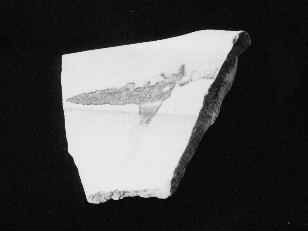 Motivo decorativo (orlo ed ansa di catino, frammento) - manifattura abruzzese (fine/inizio secc. XV/ XVI)