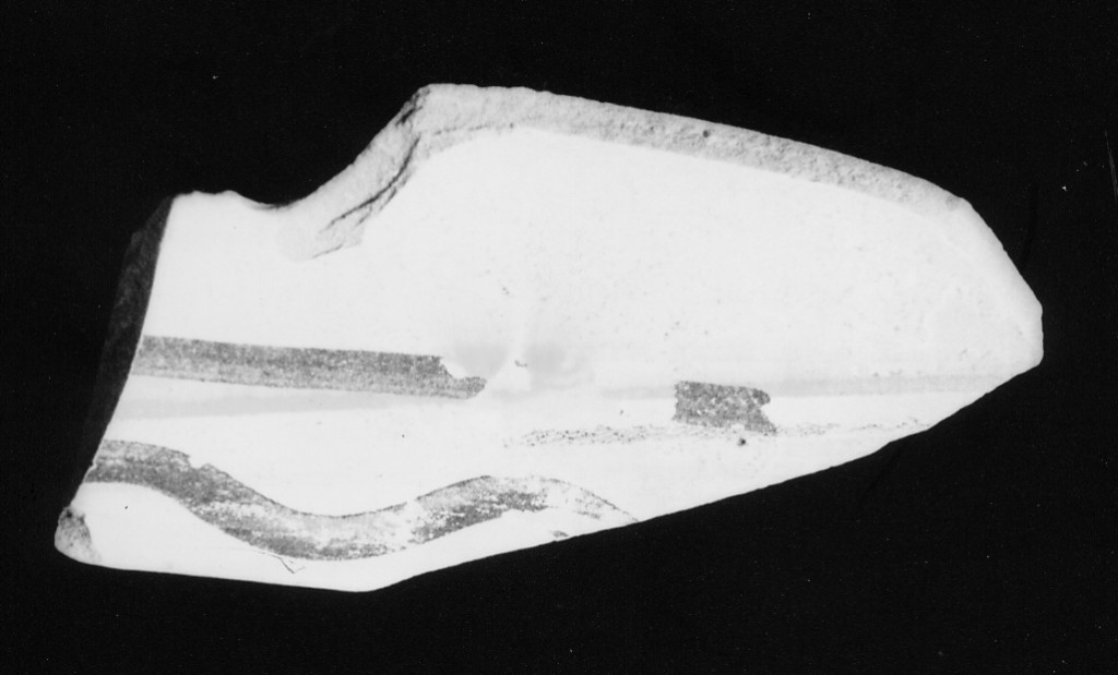 Motivo decorativo (orlo e parete di catino, frammento) - ambito dell'Italia centrale (fine/inizio secc. XV/ XVI)