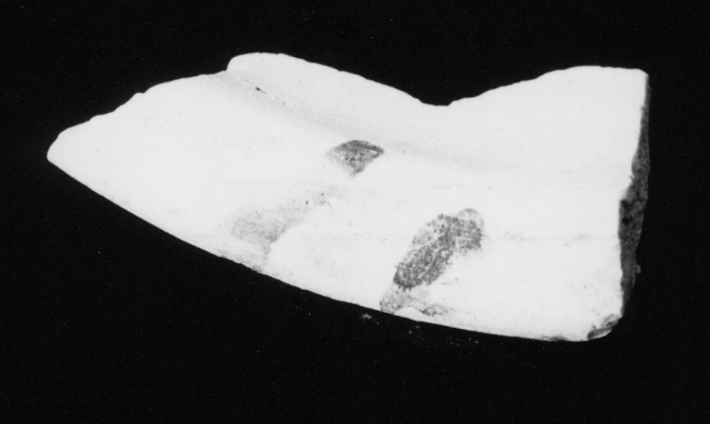 Motivo decorativo (orlo e parete, frammento) - manifattura abruzzese (fine/inizio secc. XV/ XVI)