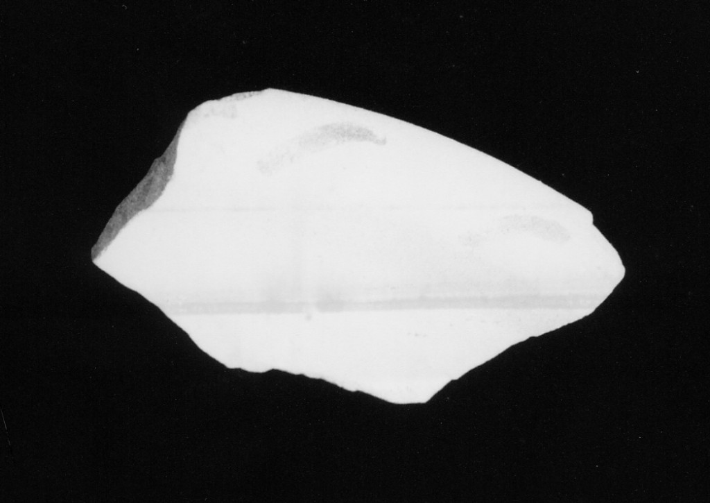 Motivo decorativo (orlo e parete, frammento) - manifattura abruzzese (fine/inizio secc. XV/ XVI)