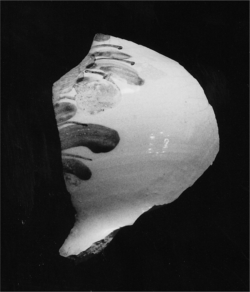 Motivo decorativo floreale (fondo e pancia di brocchetta, frammento) - manifattura abruzzese (sec. XVIII)