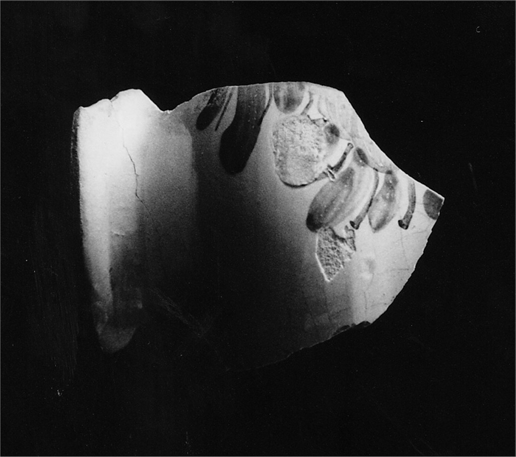 Motivo decorativo floreale (pancia di brocca, frammento) - manifattura abruzzese (sec. XVIII)