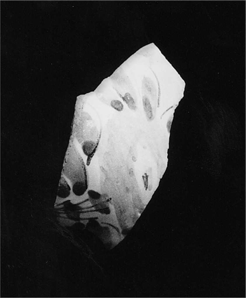 Motivo decorativo floreale (pancia, frammento) - manifattura abruzzese (fine/inizio secc. XVIII/ XIX)