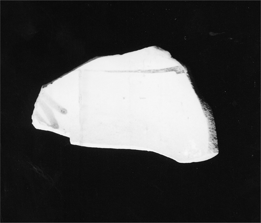 Motivo decorativo (fondo e cavetto di scodella, frammento) - manifattura abruzzese (sec. XVIII)