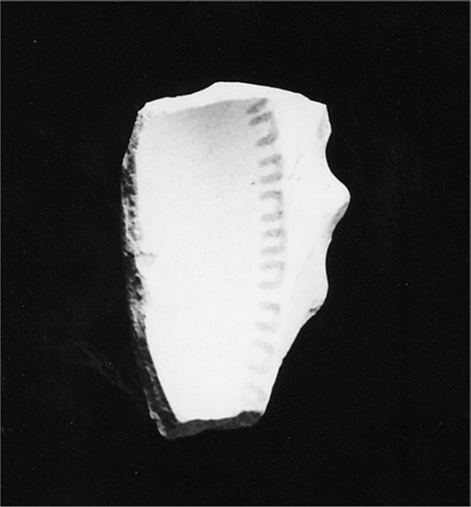 Motivo decorativo (tesa e cavetto di ciotolina, frammento) - manifattura abruzzese (sec. XVIII)