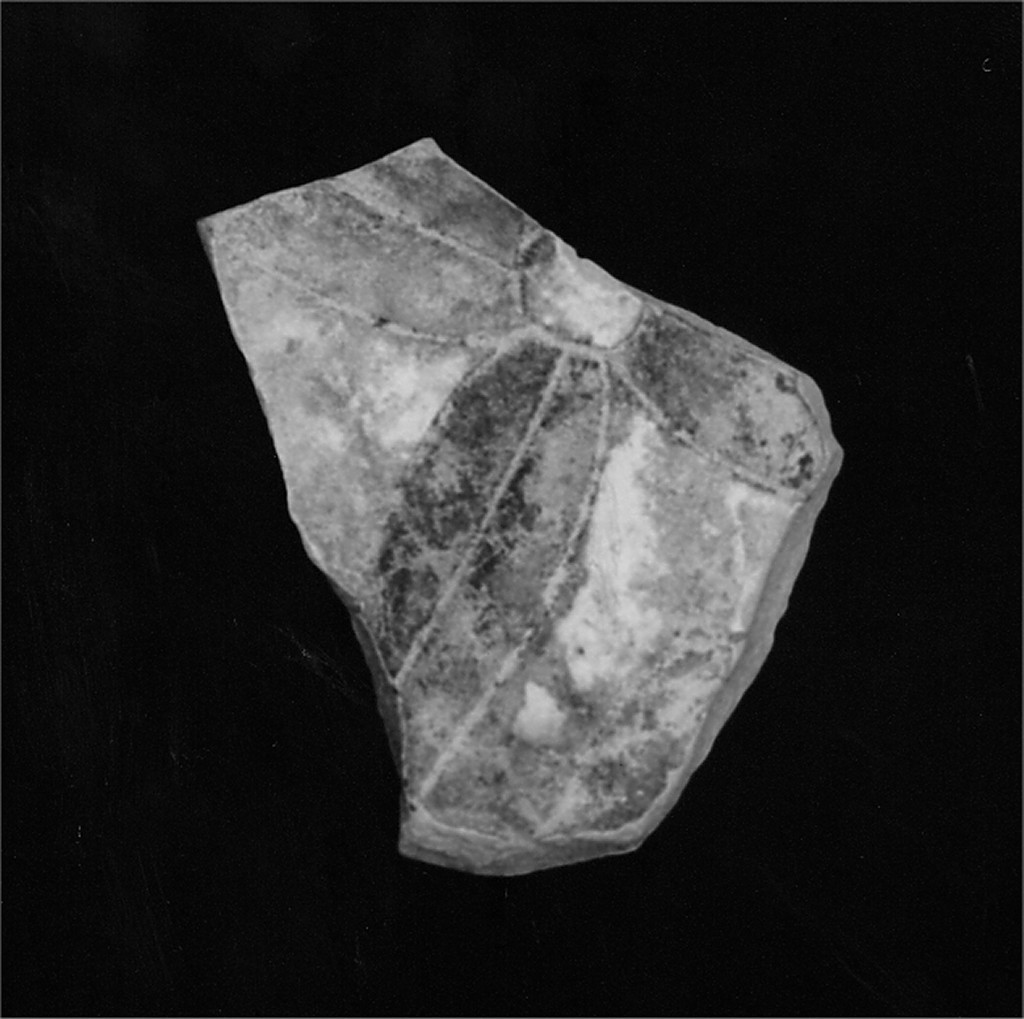 Motivo decorativo floreale (fondo di ciotola, frammento) - manifattura abruzzese (fine/inizio secc. XV/ XVI)