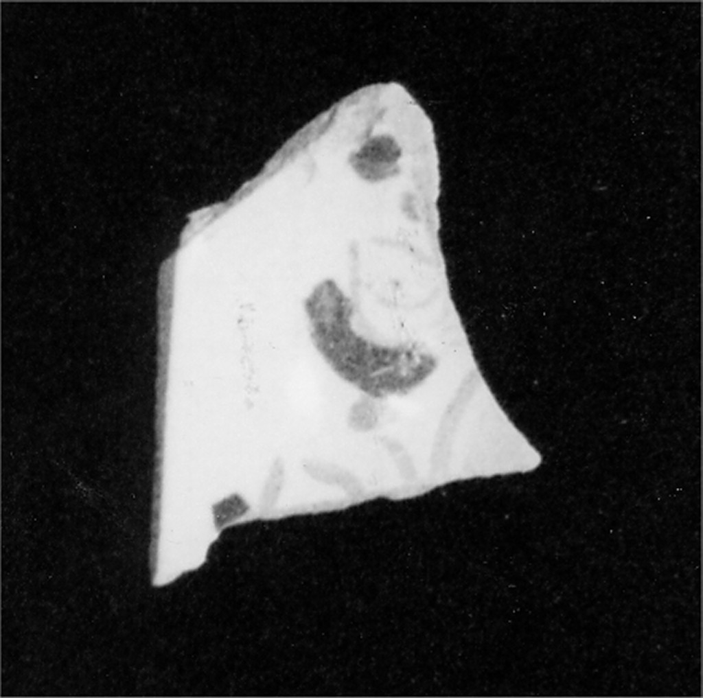 Motivo decorativo vegetale (fondo di coppetta, frammento) - manifattura abruzzese (fine/inizio secc. XVI/ XVII)