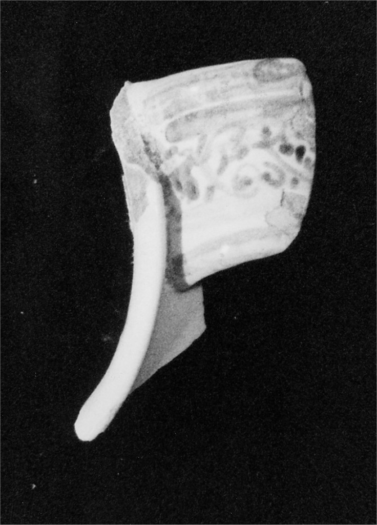 Motivo decorativo (orlo ed attacco d'ansa di brocca, frammento) - manifattura abruzzese (sec. XVIII)