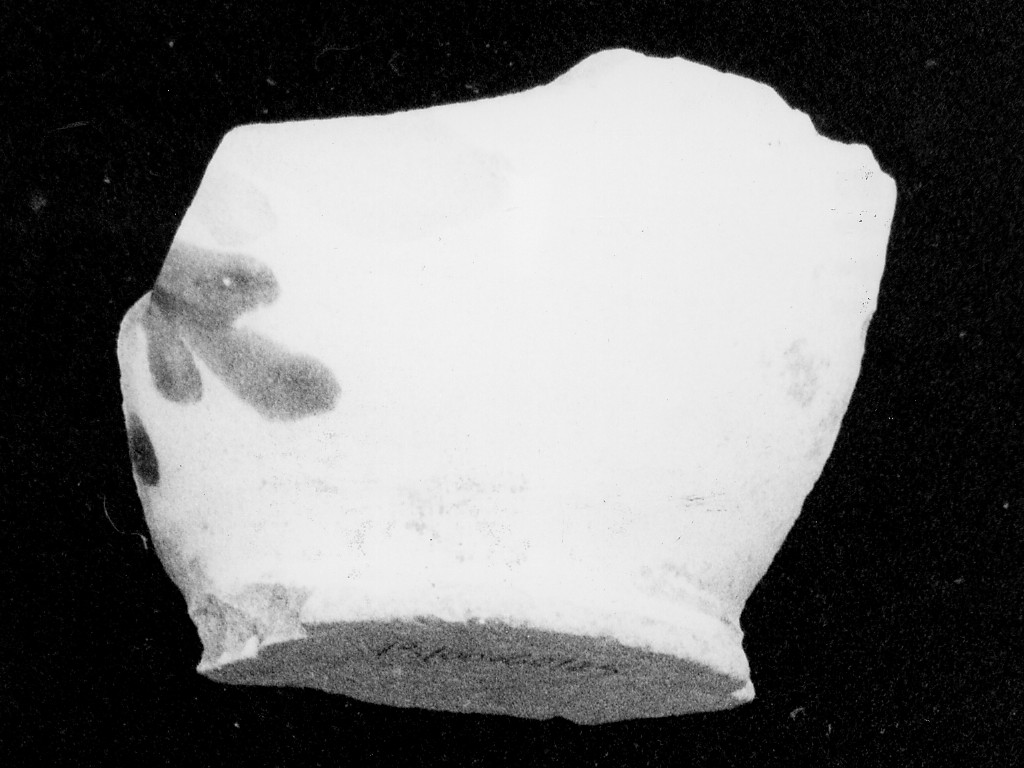 Motivo decorativo vegetale (fondo e parete, frammento) - manifattura abruzzese (fine/inizio secc. XVIII/ XIX)