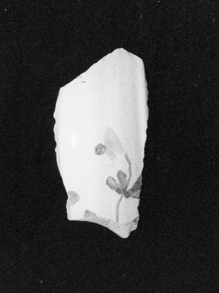 Motivo decorativo floreale (parete, frammento) - manifattura abruzzese (fine/inizio secc. XVIII/ XIX)