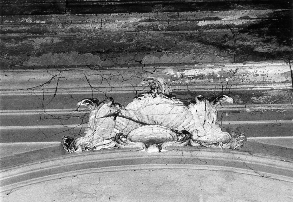 Motivo decorativo a valve di conchiglia (rilievo, serie) di Piazzoli Carlo (attribuito) (prima metà sec. XVIII)