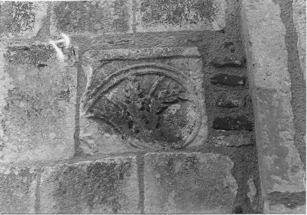 motivo decorativo fitomorfo (rilievo) - ambito Italia centrale (sec. XIV)