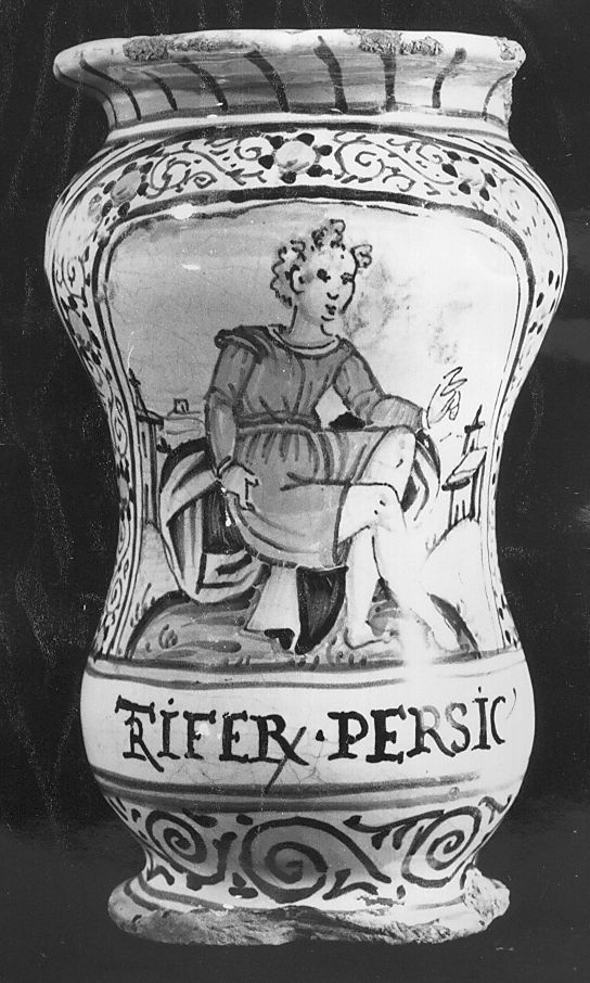 giovane in tunica gialla e motivi decorativi floreali (vaso da farmacia) - manifattura Italia centrale (inizio sec. XVII)