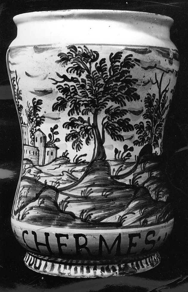 paesaggio (vaso da farmacia) - manifattura Italia centrale (inizio sec. XVIII)