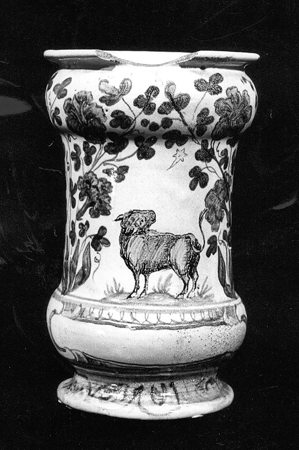 motivi decorativi floreali, stemma (vaso da farmacia) - manifattura Italia centrale (sec. XVIII)