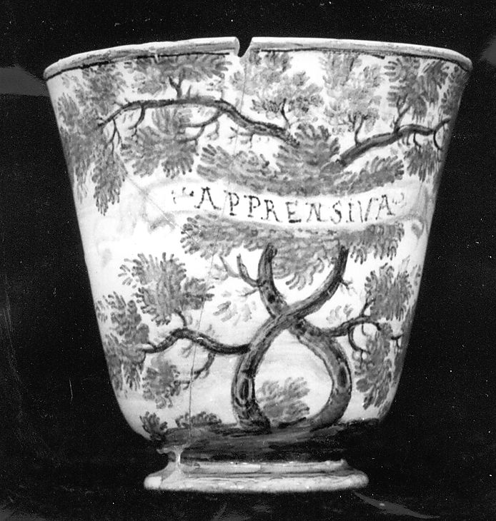 motivi decorativi vegetali (tazzina, elemento d'insieme) di Grue Francesco Saverio Maria (attribuito) (sec. XVIII)