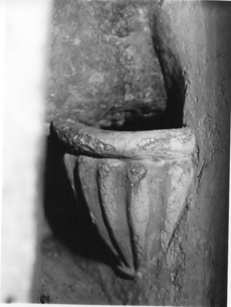 acquasantiera da parete, opera isolata - bottega Italia centrale (sec. XVI)