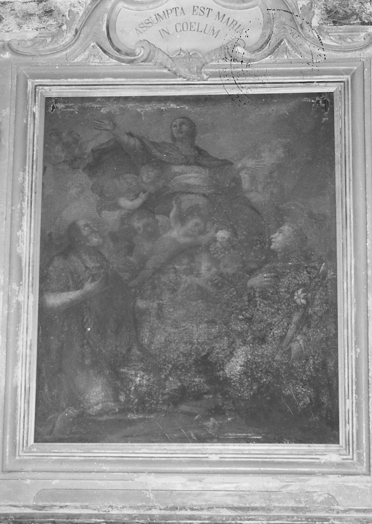 MADONNA ASSUNTA E SANTI (pala d'altare) - ambito Italia centrale (sec. XVIII)