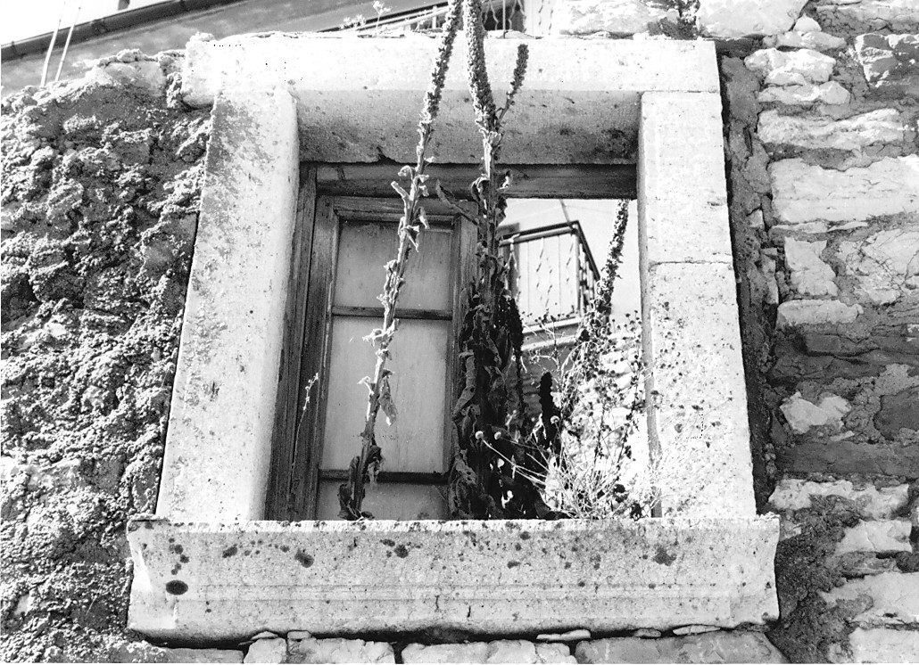 mostra di finestra, elemento d'insieme - ambito Italia centrale (sec. XIX)