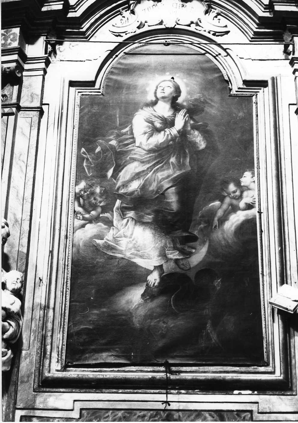 Immacolata Concezione (dipinto) - ambito Italia centrale (sec. XVIII)