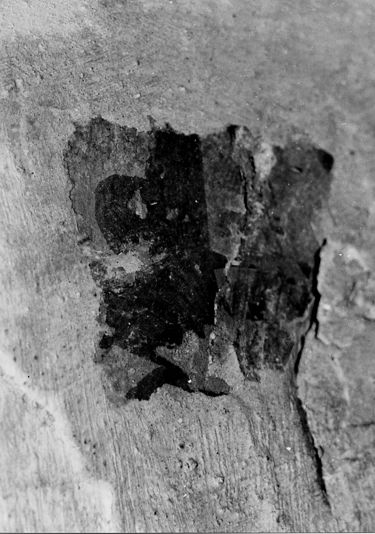 motivo decorativo (dipinto, frammento) - ambito Italia centrale (fine/inizio secc. XIII/ XIV)