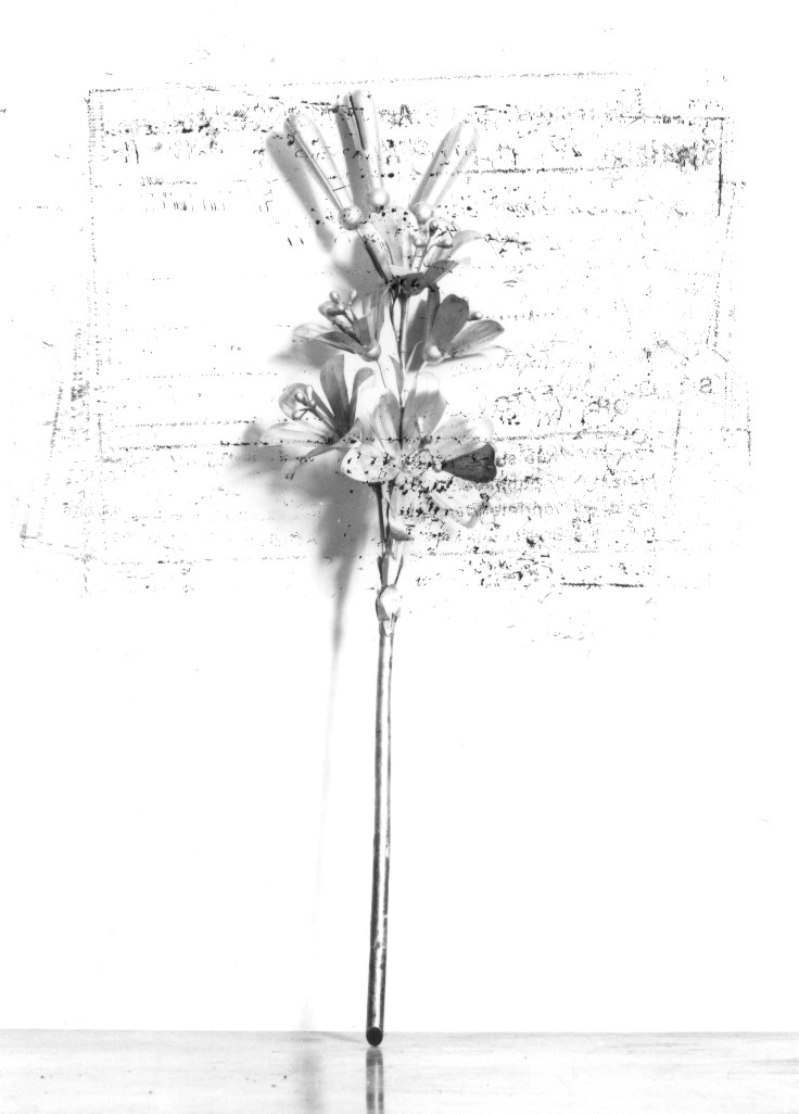 attributo iconografico di immagine sacra, opera isolata - ambito Italia centrale (sec. XIX)