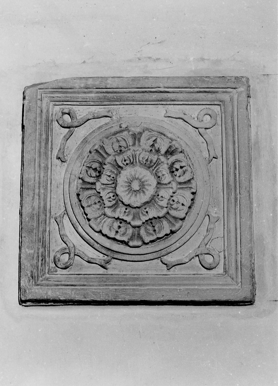 motivo decorativo (decorazione plastica, serie) - bottega Italia centrale (sec. XVI)