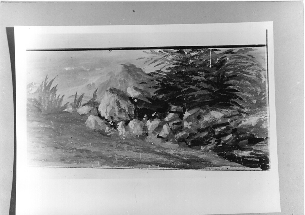 Paesaggio con alberi (dipinto, opera isolata) di Sardella Vincenzo (sec. XX)