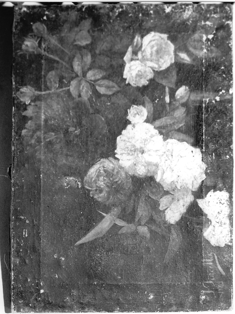 Fiori (dipinto, opera isolata) di Forcella I (sec. XX)