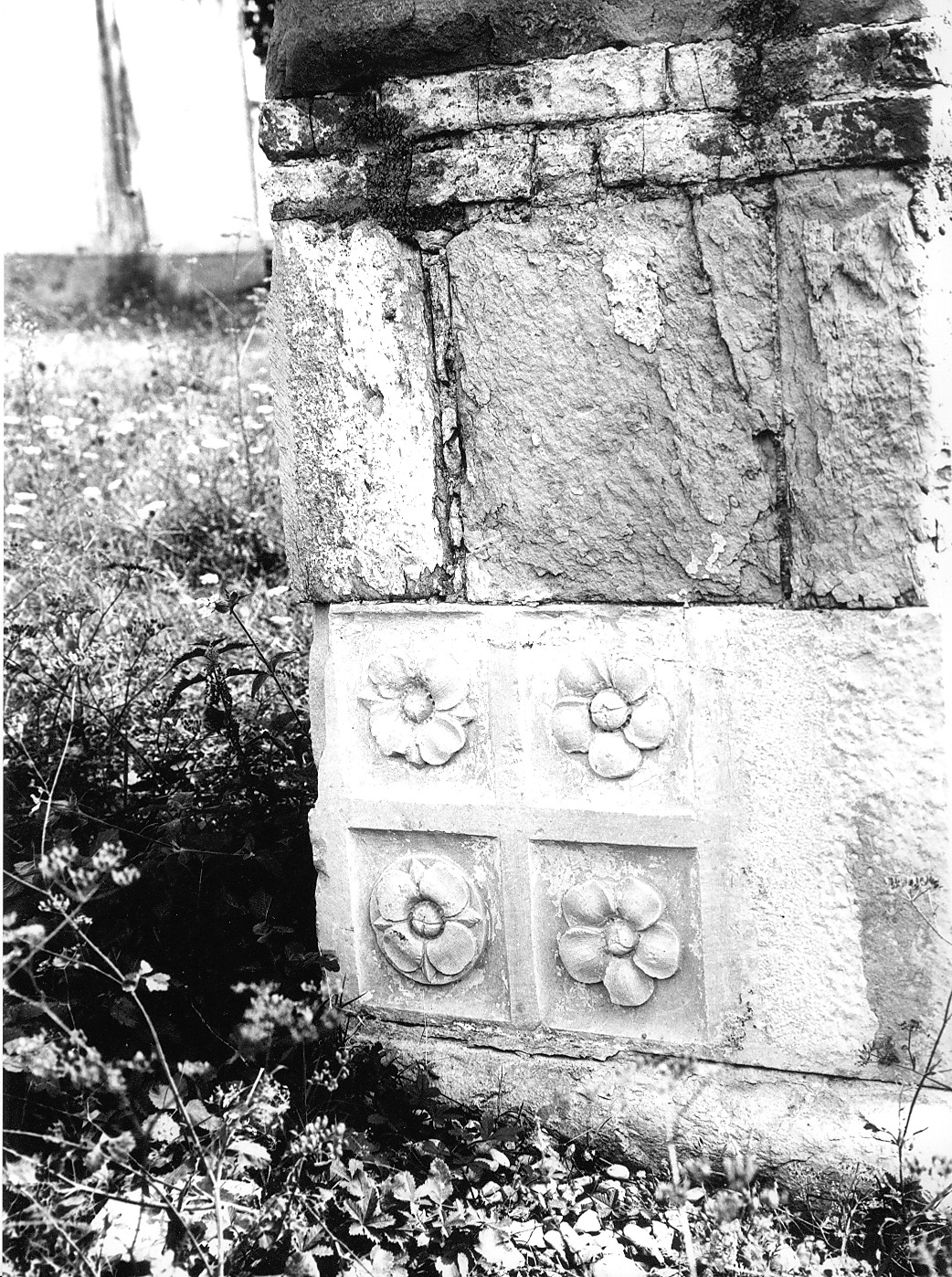 motivi decorativi floreali (rilievo, frammento) - bottega abruzzese (sec. XVI)