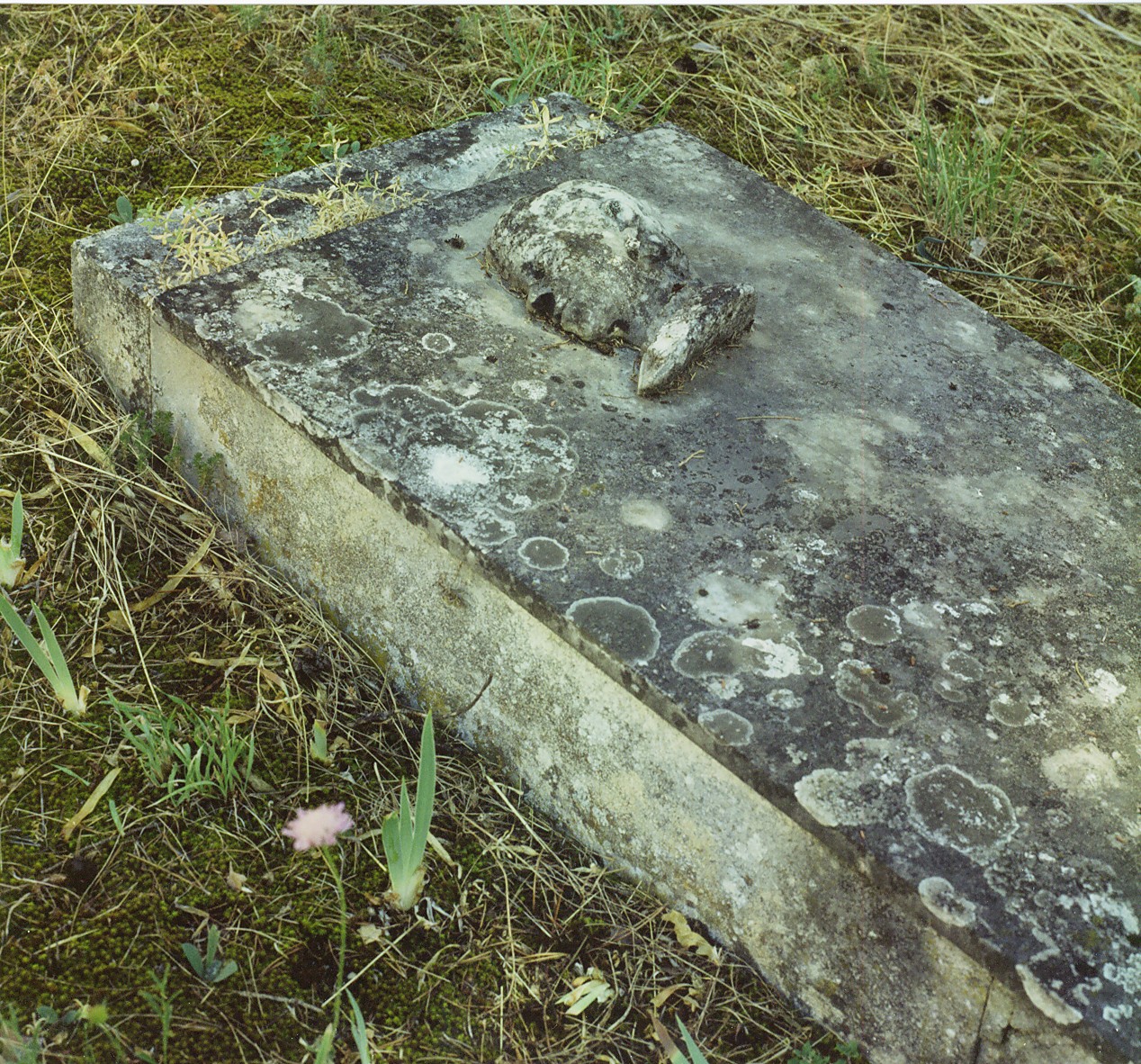 catafalco - ambito abruzzese (sec. XIX)