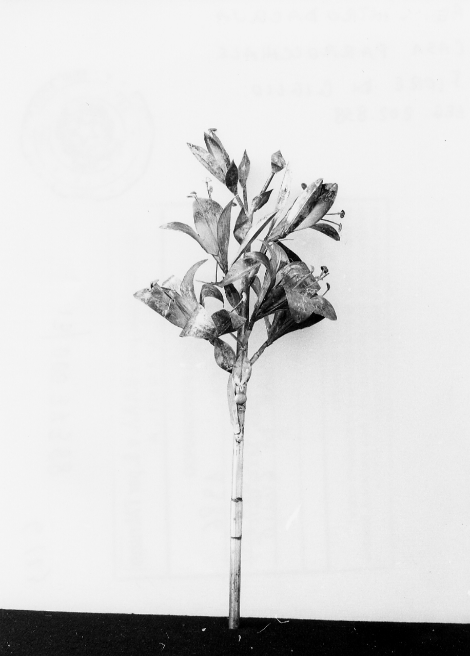 fiore di giglio (attributo iconografico di immagine sacra) - ambito Italia centrale (sec. XIX)