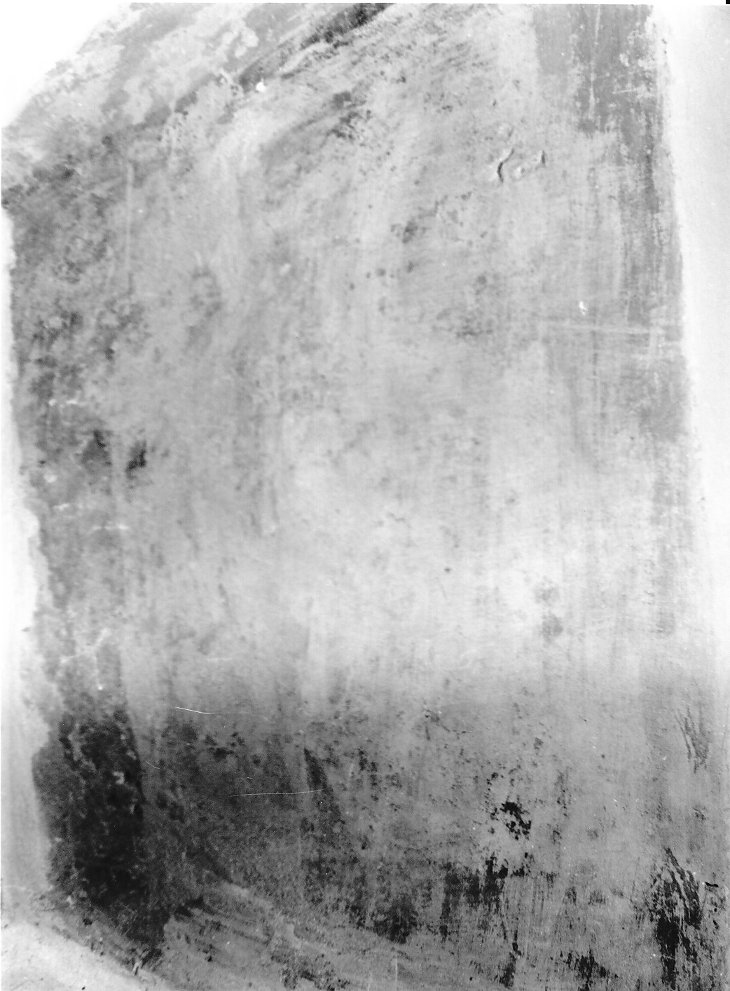 angelo (dipinto) - ambito Italia centrale (sec. XVI)