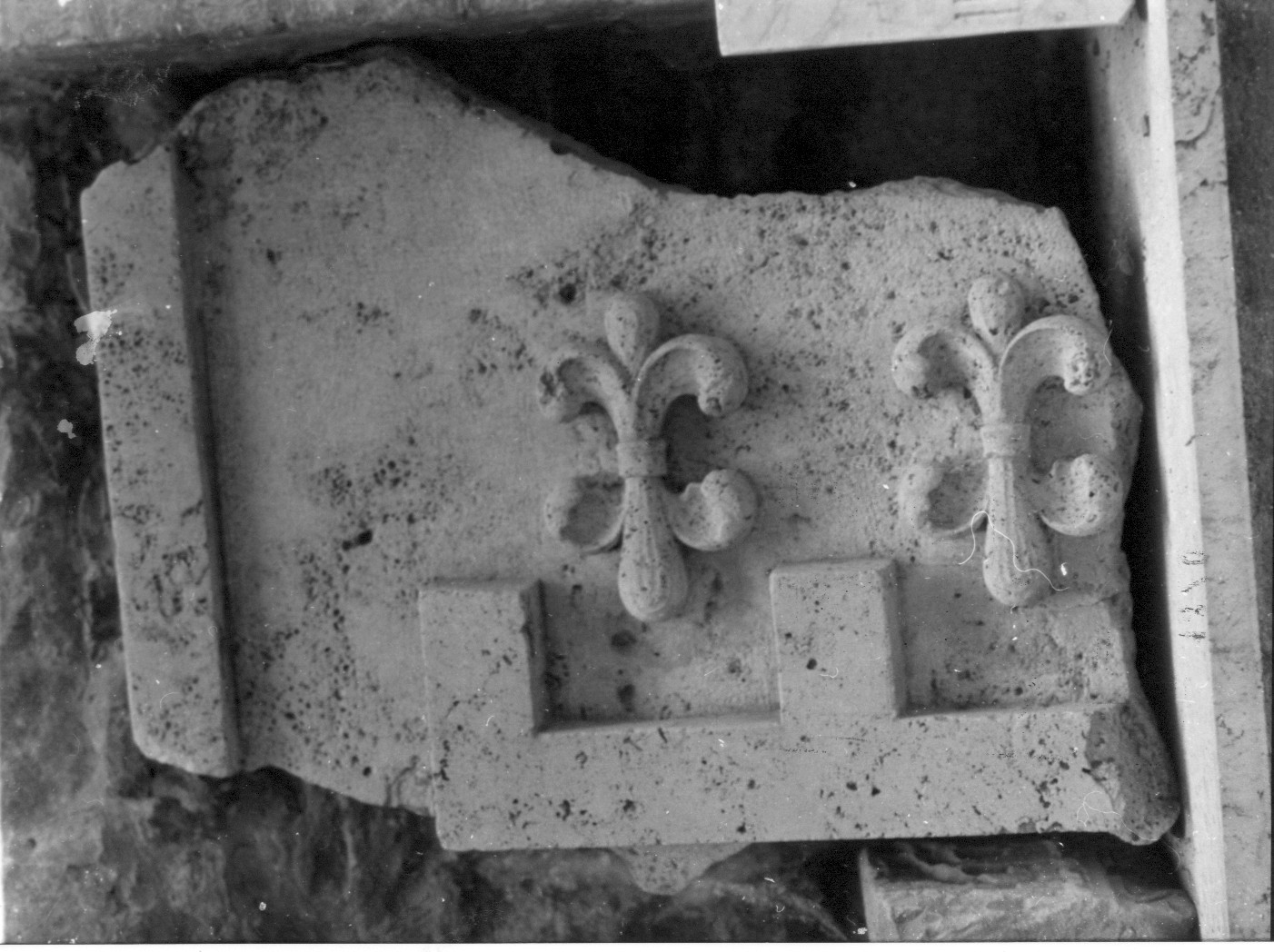 frammento di elemento decorativo (rilievo, frammento) - ambito teramano (prima metà sec. XVI)