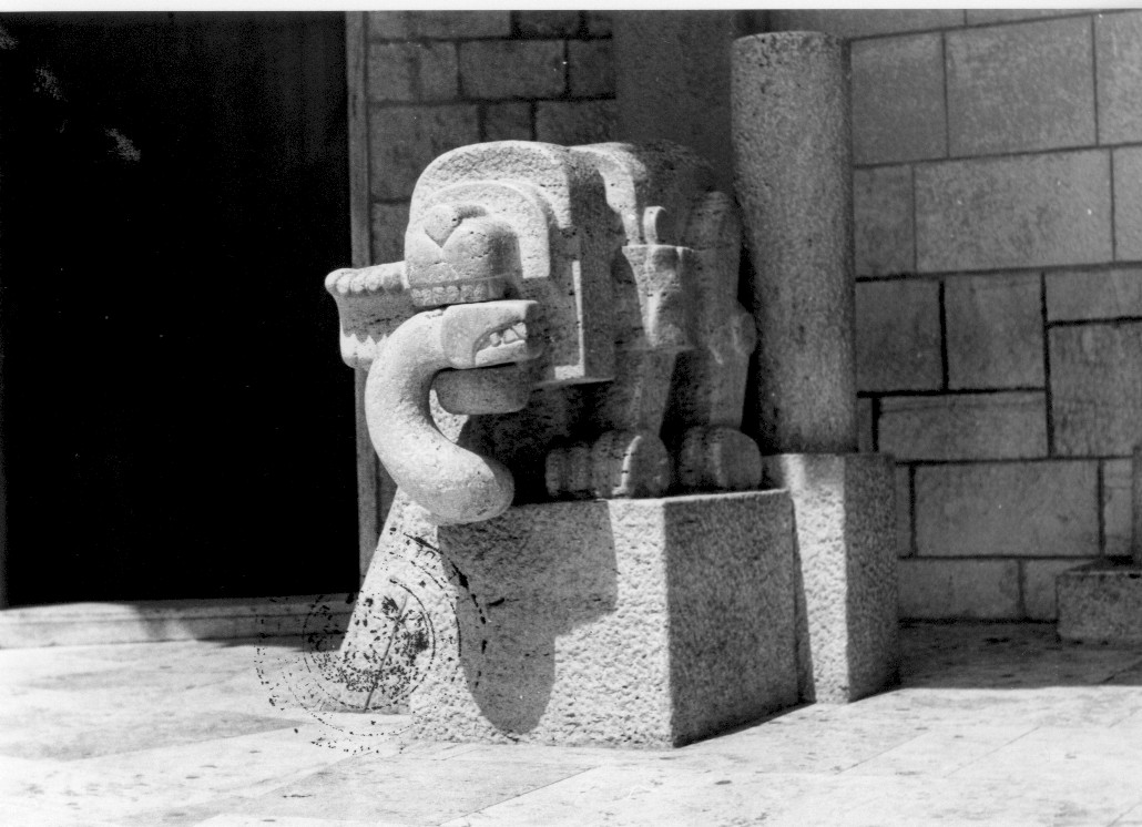 leone con serpente (scultura) di Cascella Pietro (seconda metà sec. XX)