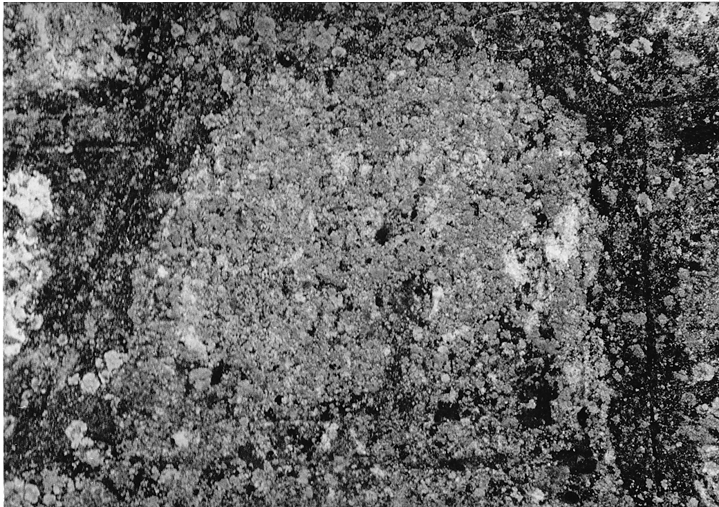 iscrizione (lastra, frammento) - bottega abruzzese (sec. I)