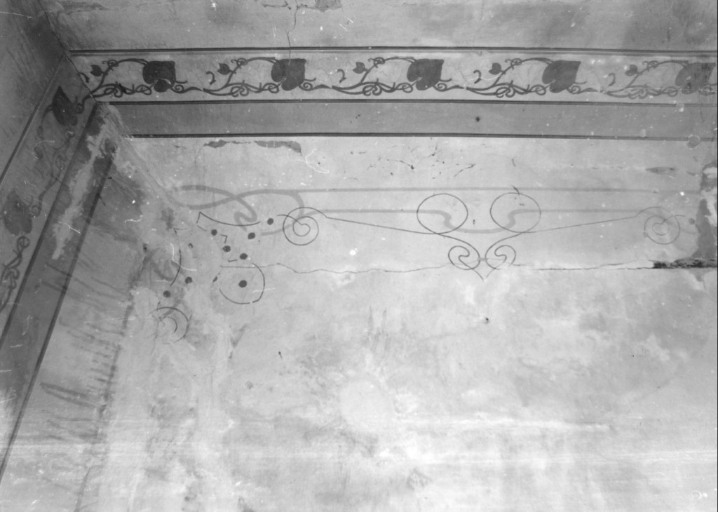 Motivo decorativo vegetale (dipinto) - ambito Italia centrale (sec. XIX)