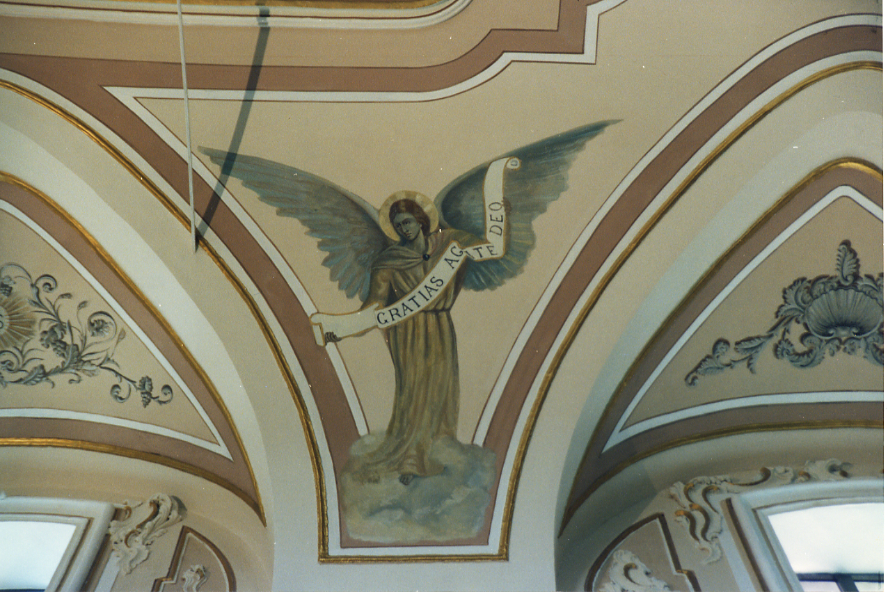 Angeli che reggono dei cartigli (dipinto, serie) di Bravo Pasquale (inizio sec. XX)